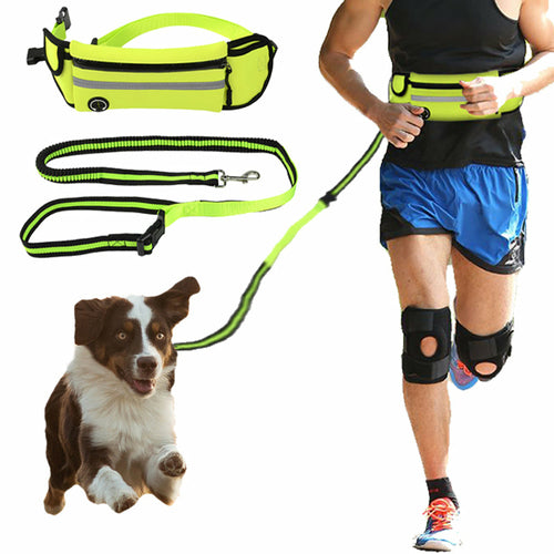 Laisse réfléchissante et imperméable pour chien Cat&dog utilisée pendant un jogging