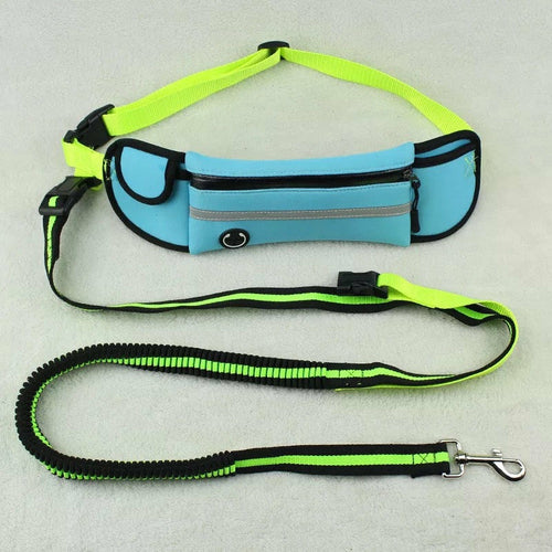 Laisse réfléchissante pour chien Cat&dog avec sac banane coloris bleu, vue d'ensemble