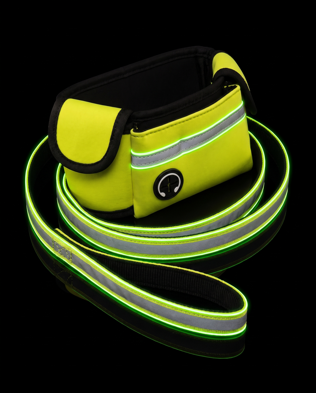 Laisse réfléchissante pour chien Cat&dog avec bandes lumineuses vert fluo qui brillent dans le noir