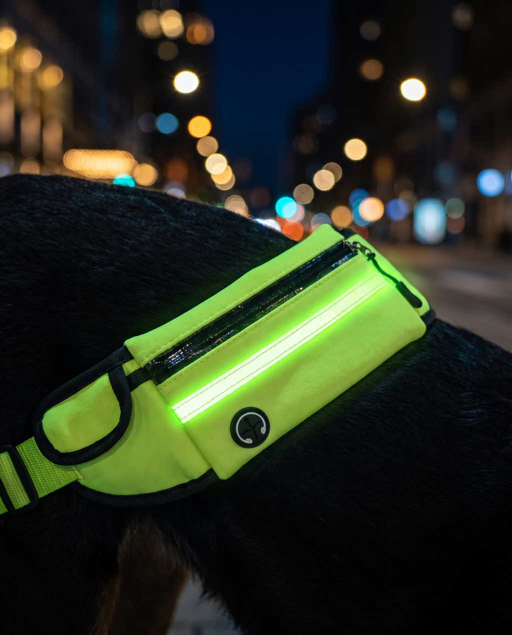 NightFlash – Laisse Réfléchissante Imperméable pour Chien, Visible Jour & Nuit
